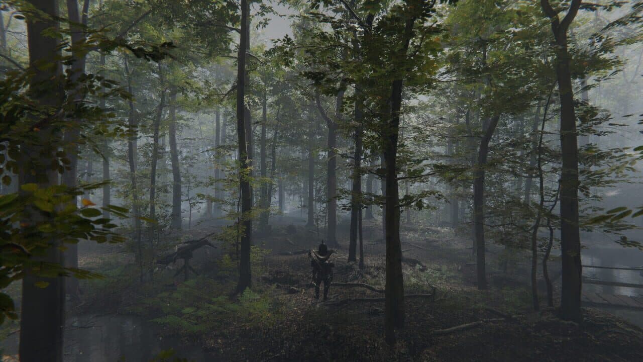 Deranged Park Rangers thumbnail 9