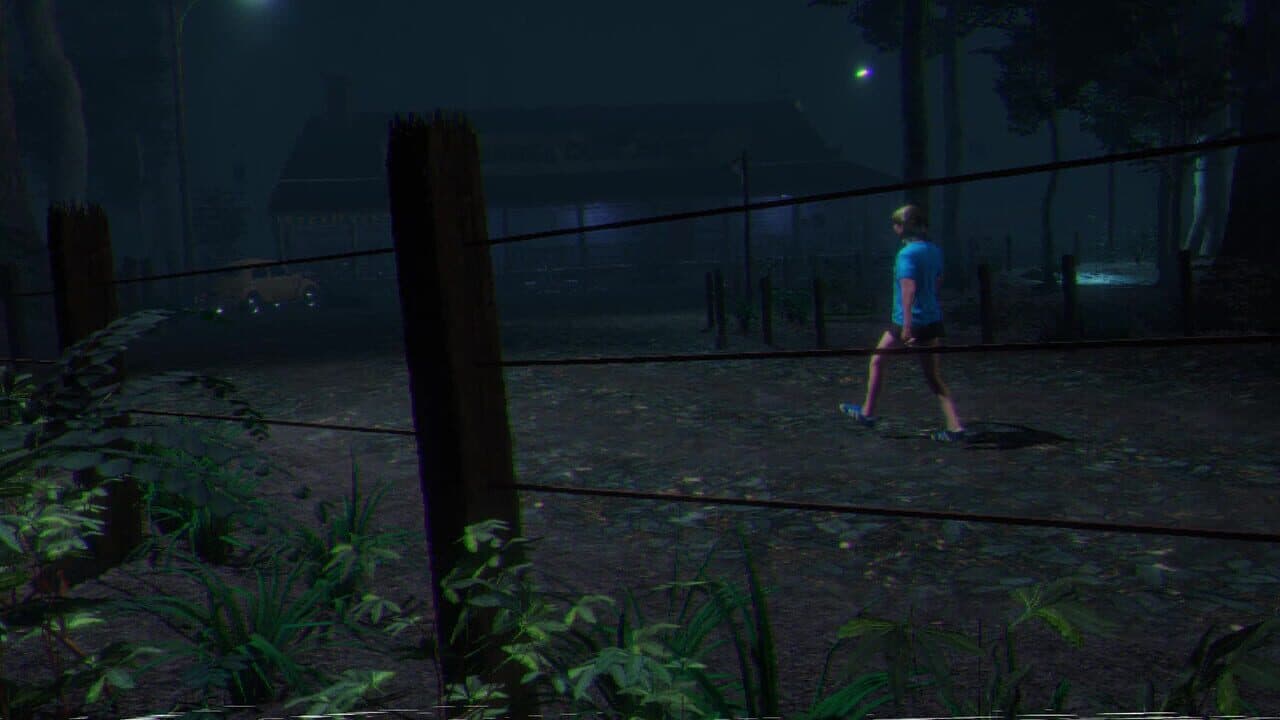 Loggerhead thumbnail 7