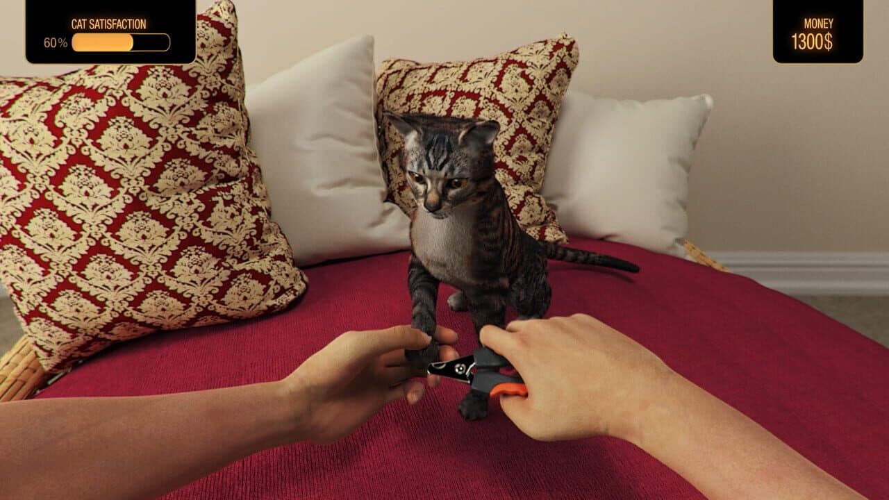 Pets Hotel thumbnail 4