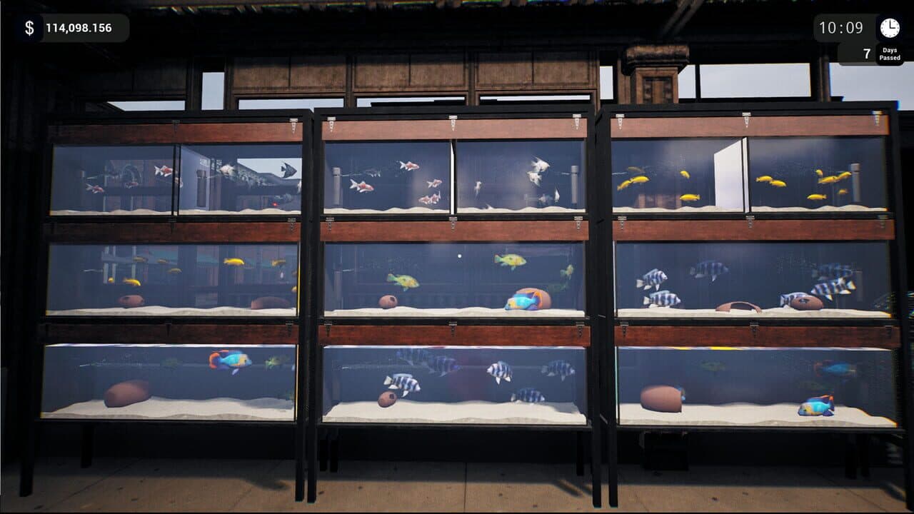 Exotica: Petshop Simulator thumbnail 8