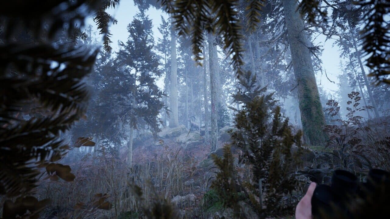 Photography Simulator thumbnail 4