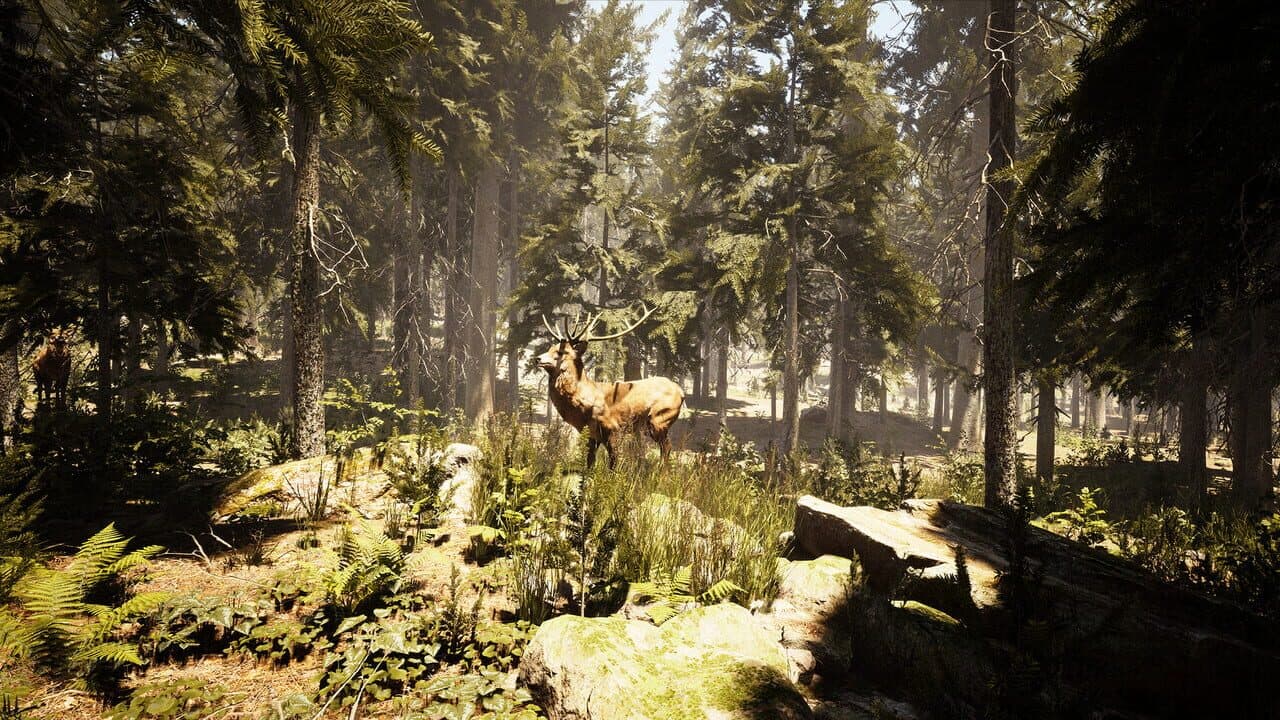 Photography Simulator thumbnail 5