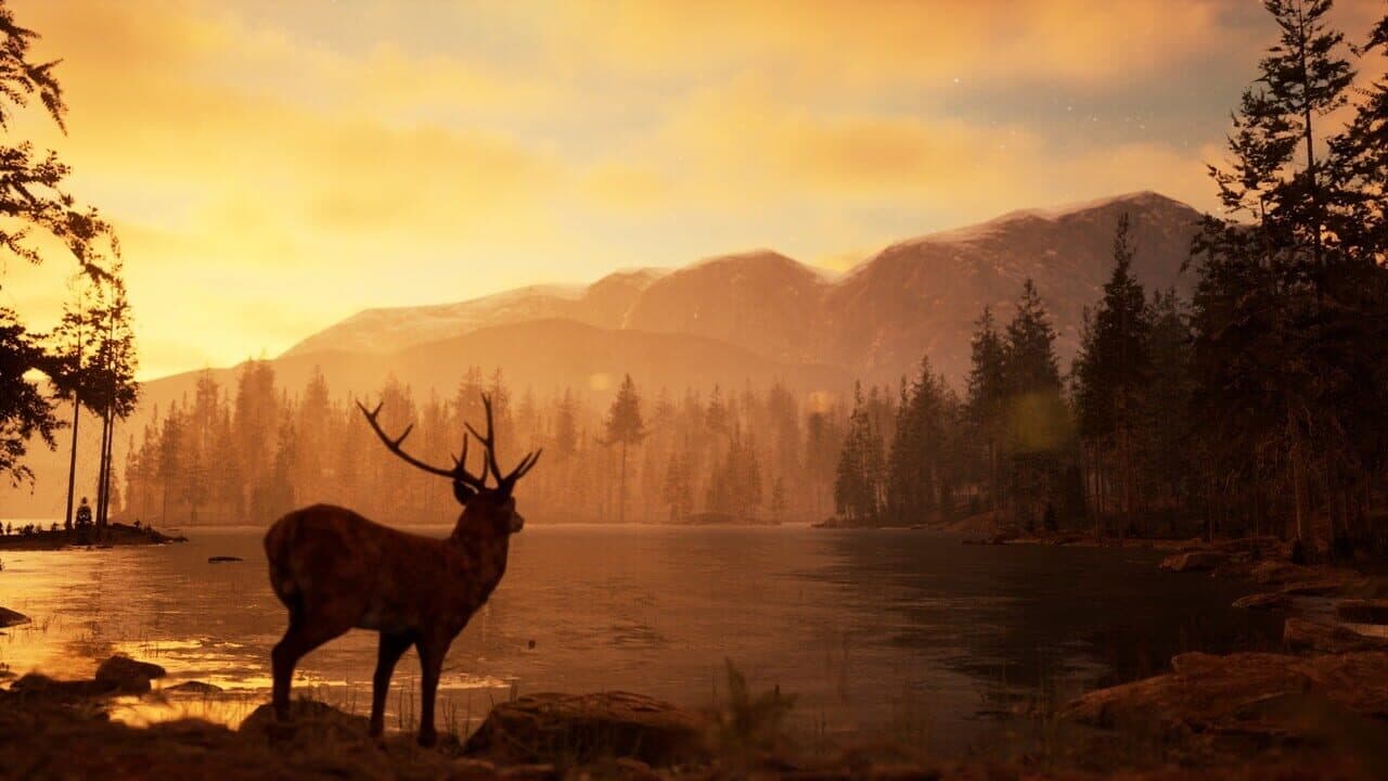 Photography Simulator thumbnail 8