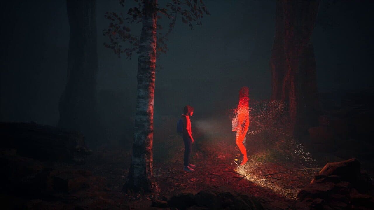 8874 thumbnail 6