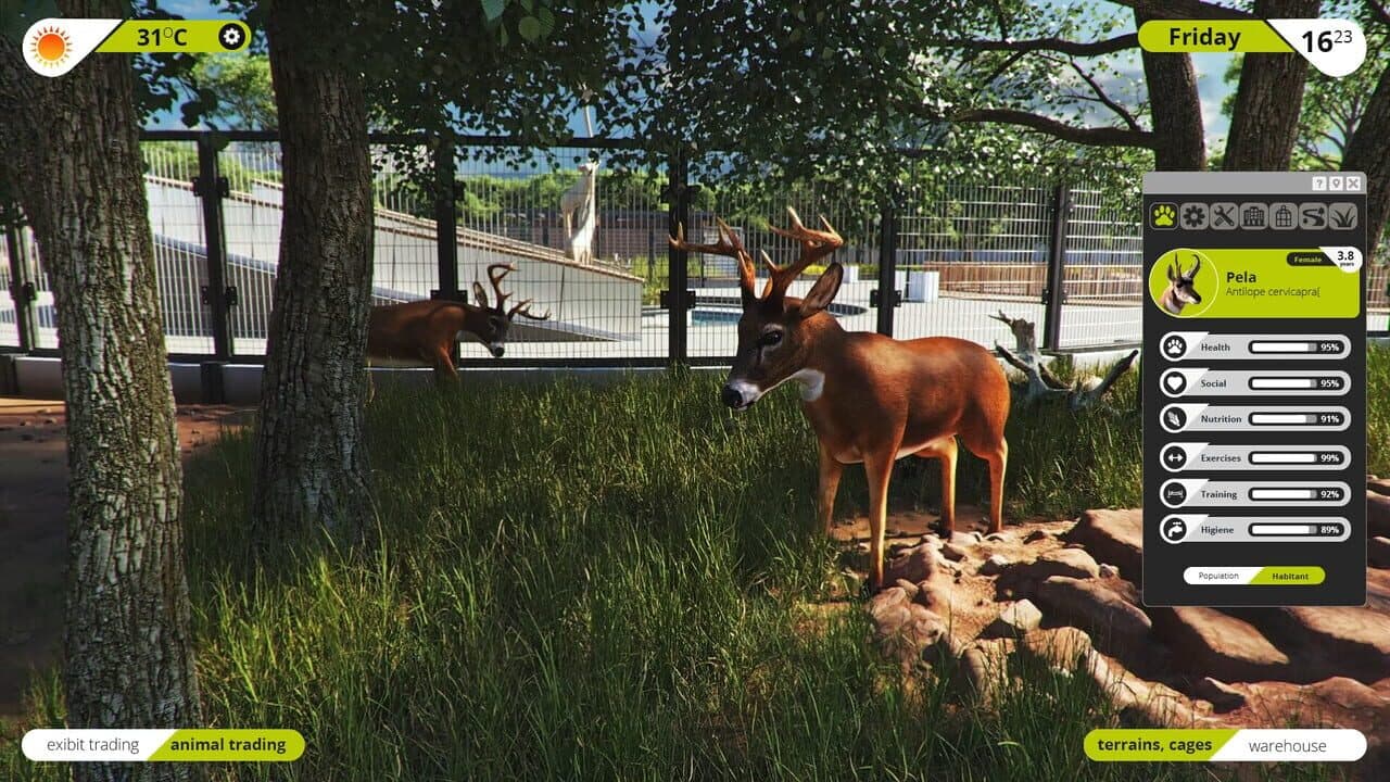 Zoo Simulator thumbnail 6