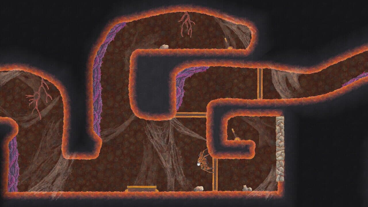 The Multi-Medium thumbnail 3