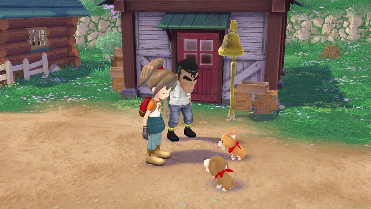Story of Seasons: A Wonderful Life thumbnail 3