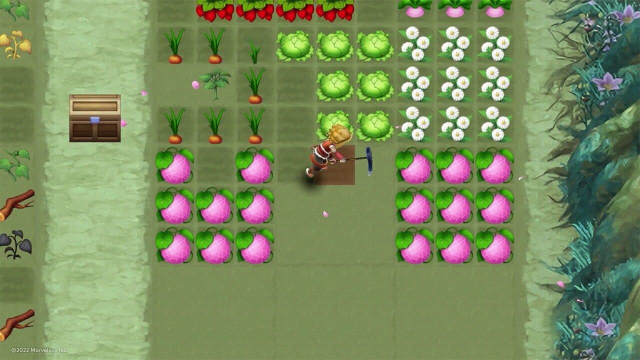 Rune Factory 3 Special thumbnail 2