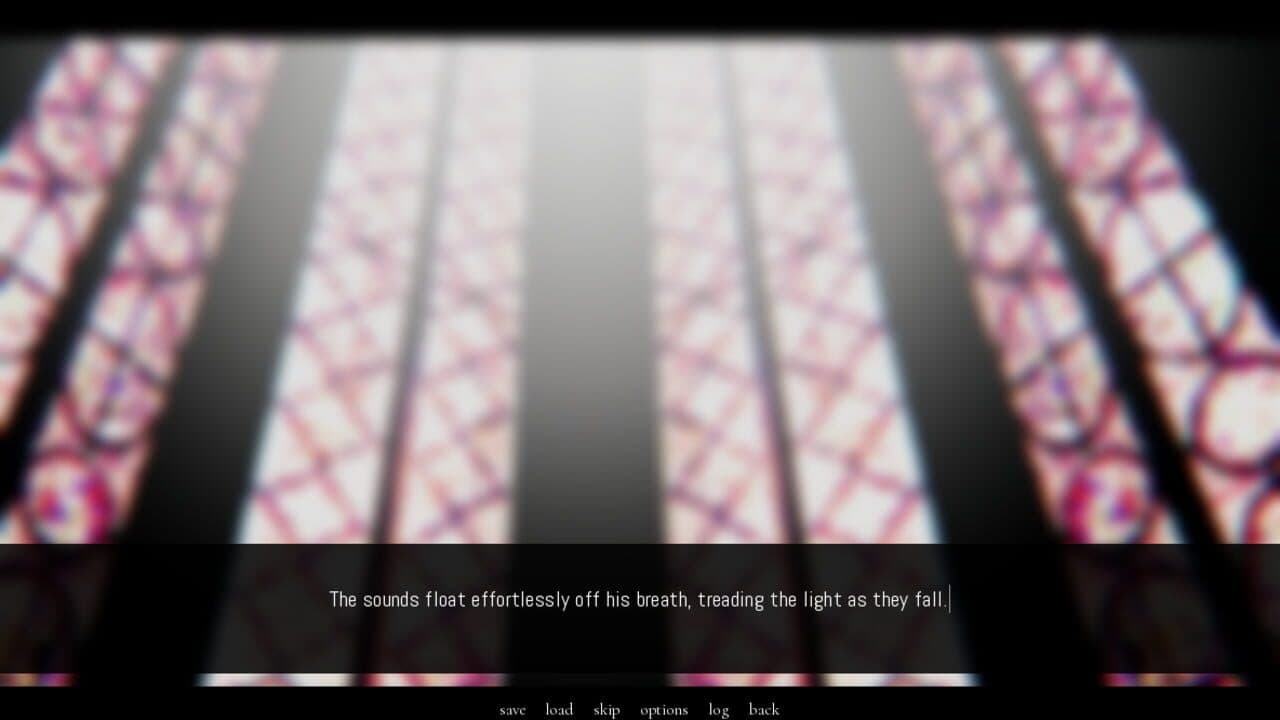 A Portrait of Feathers thumbnail 2
