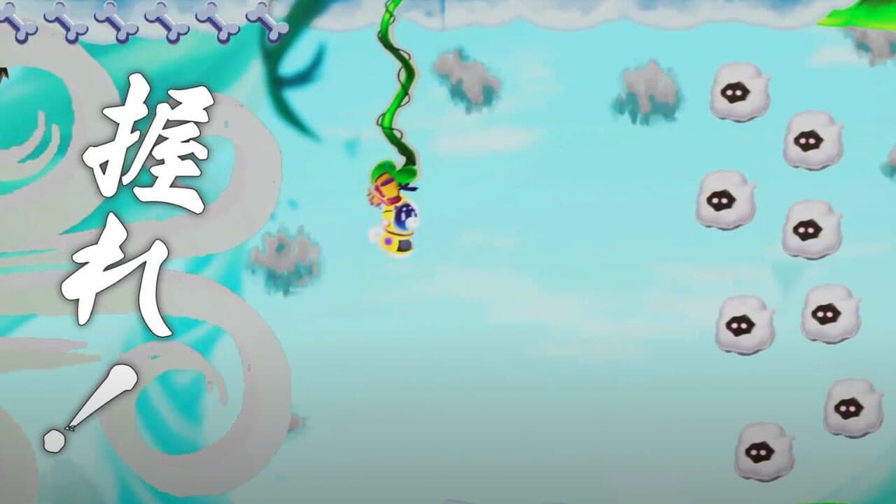 Procyon thumbnail 2