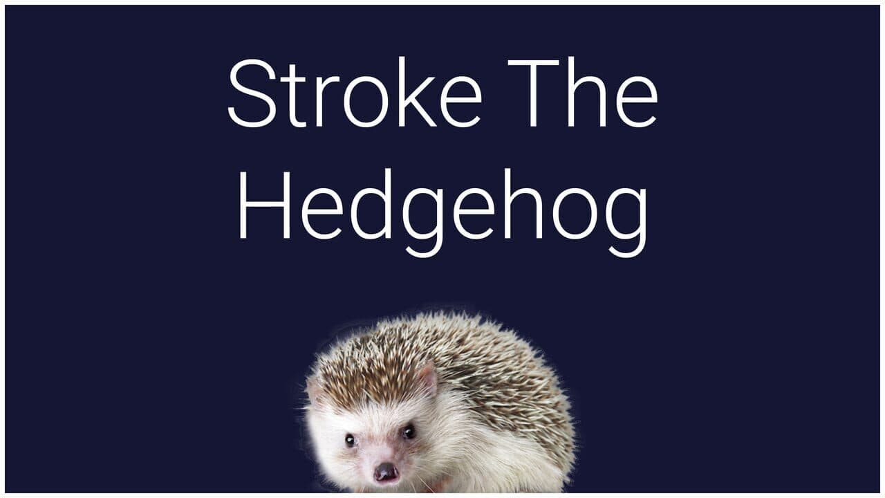 Stroke the Hedgehog screenshot 1