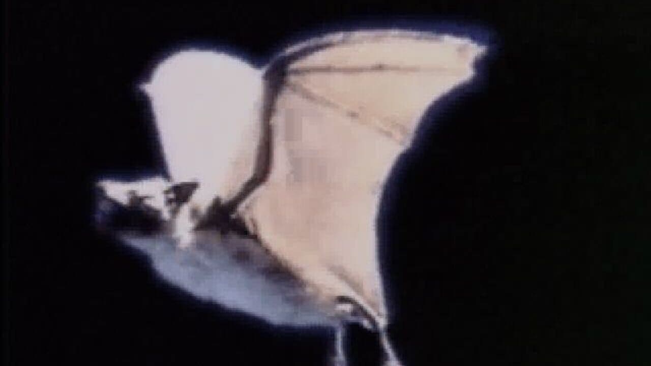 Terror TRAX: Track of the Vampire thumbnail 5