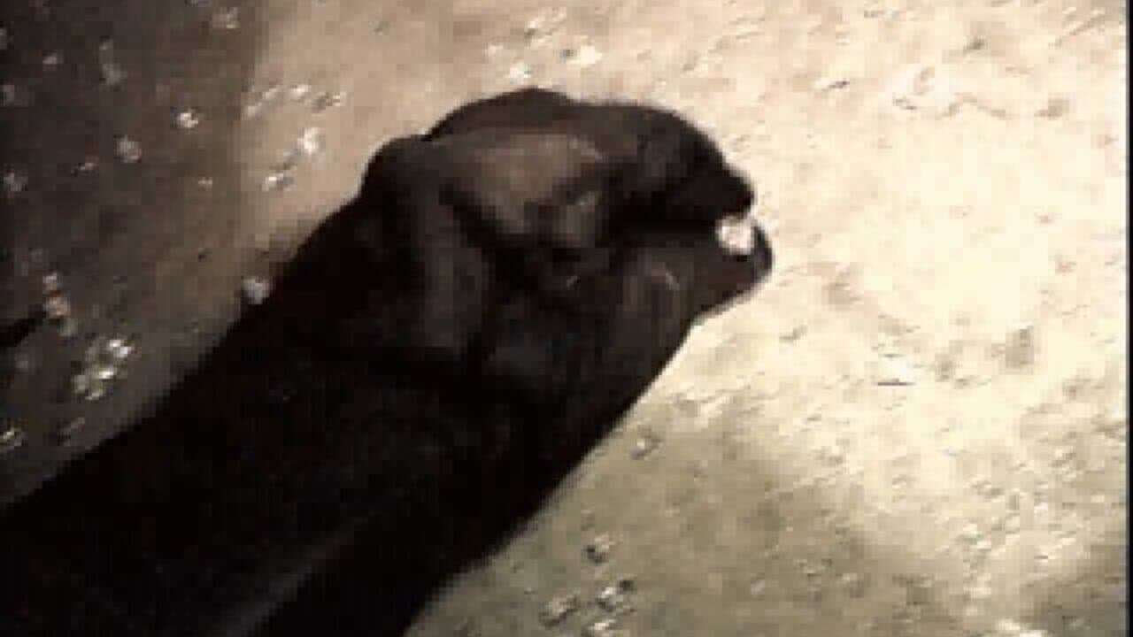 Terror TRAX: Track of the Vampire thumbnail 13