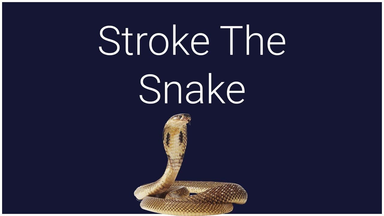 Stroke the Snake screenshot 1