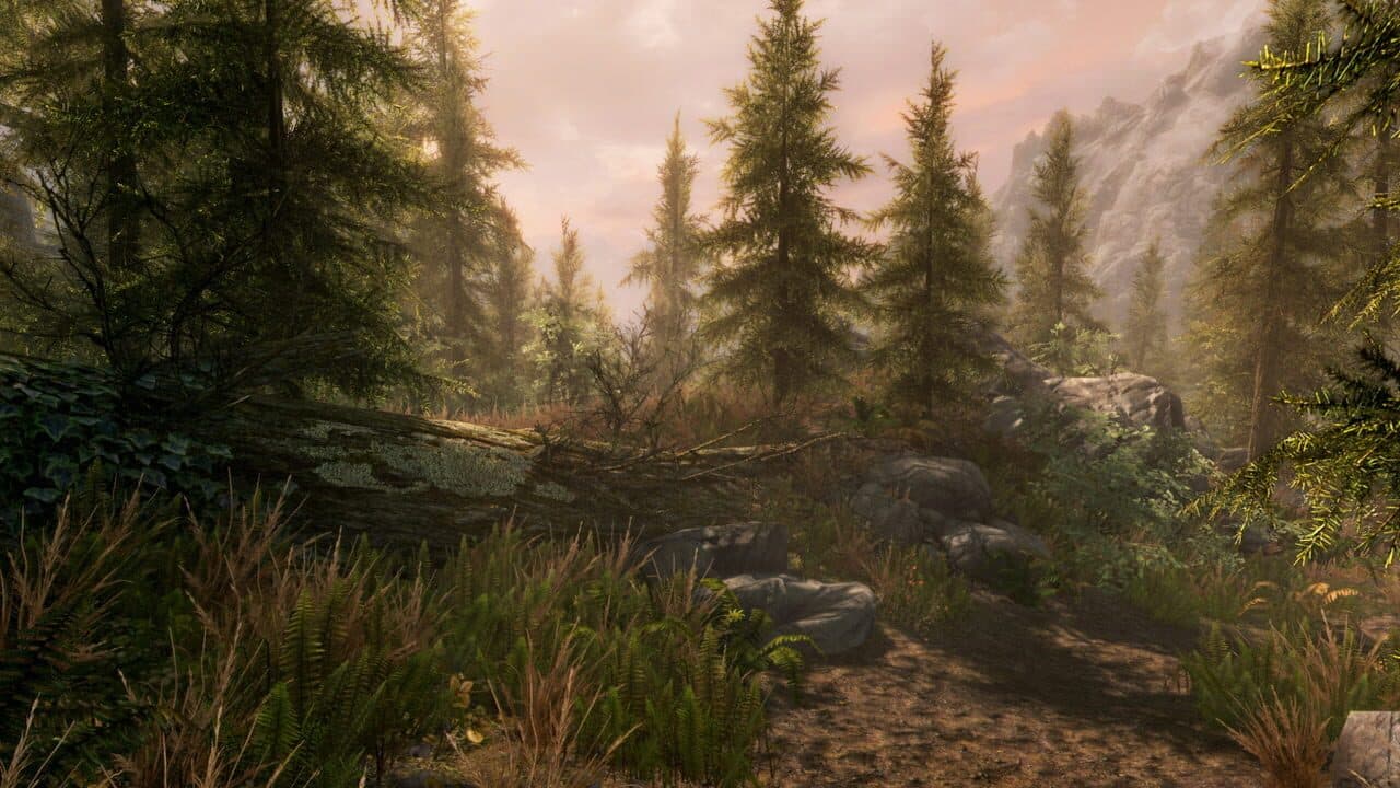 The Elder Scrolls V: Skyrim - Anniversary Edition thumbnail 17