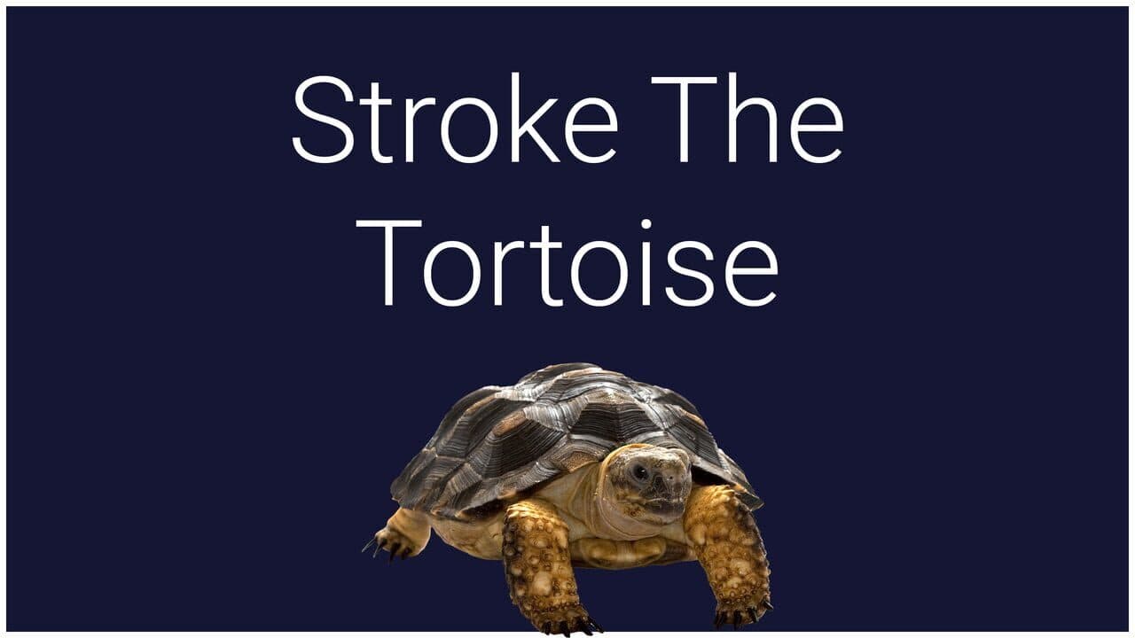 Stroke the Tortoise screenshot 1
