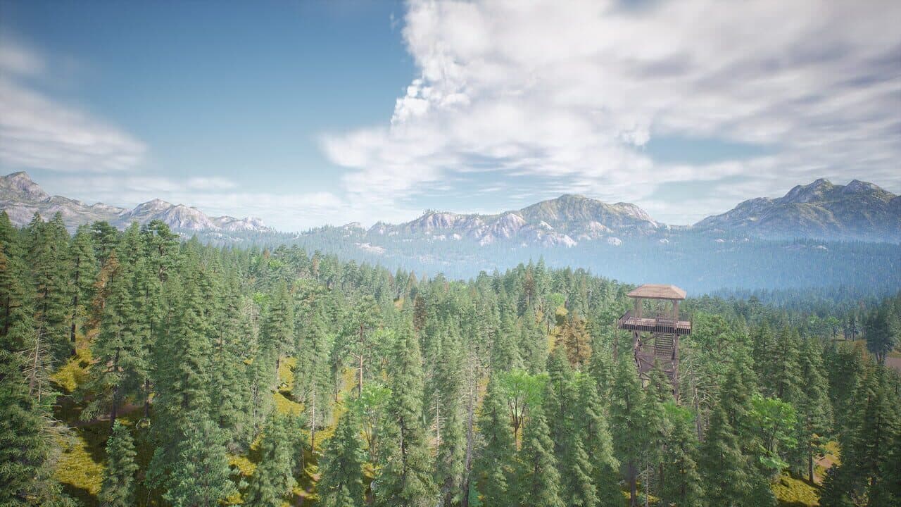 Out of the Woods screenshot 1