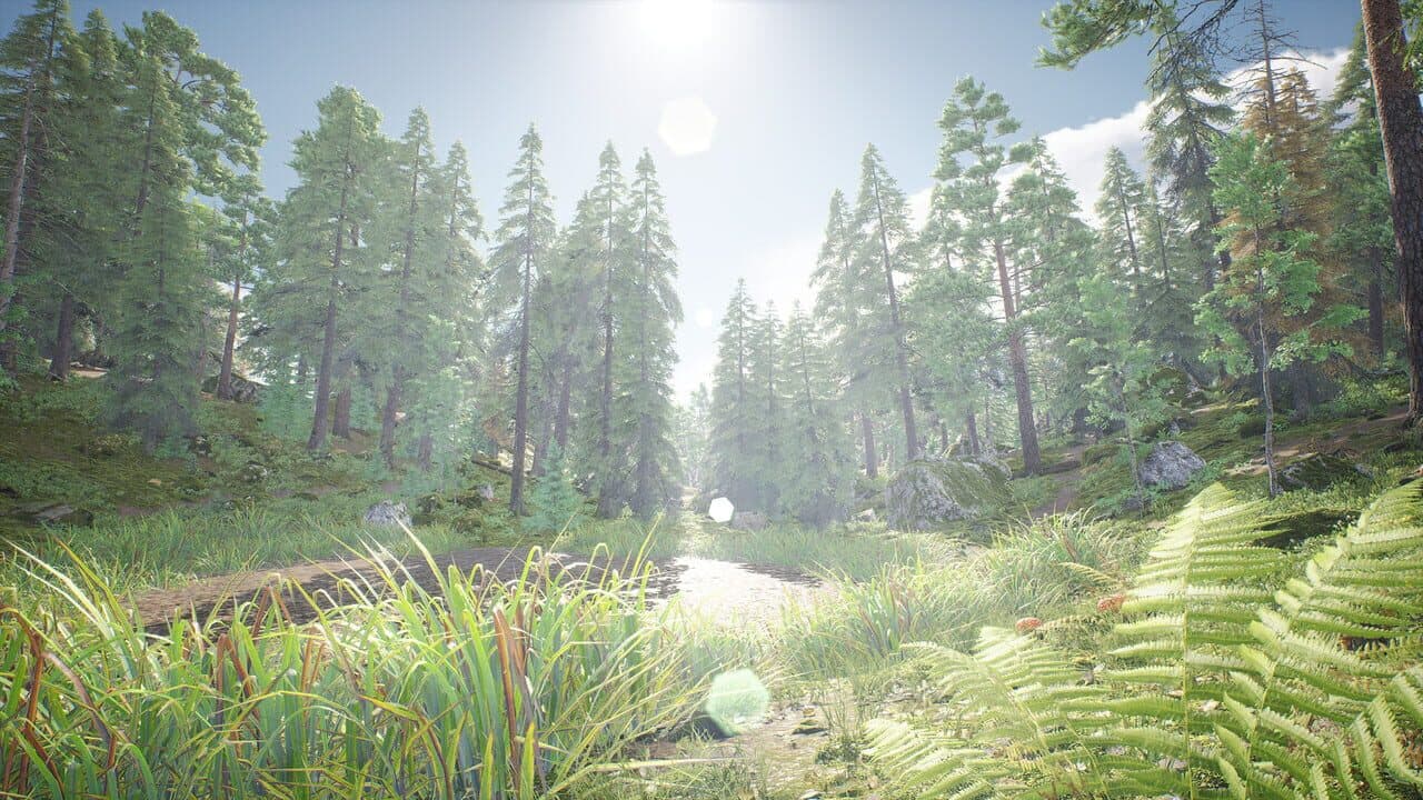 Out of the Woods thumbnail 2