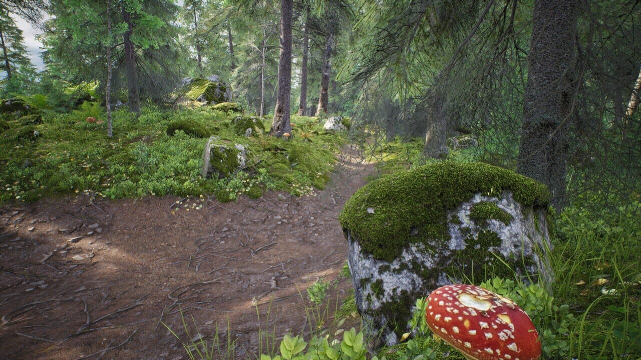 Out of the Woods thumbnail 3