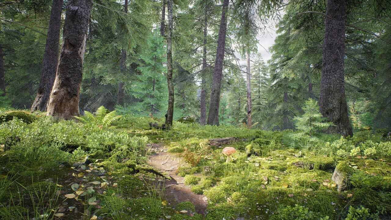 Out of the Woods thumbnail 4