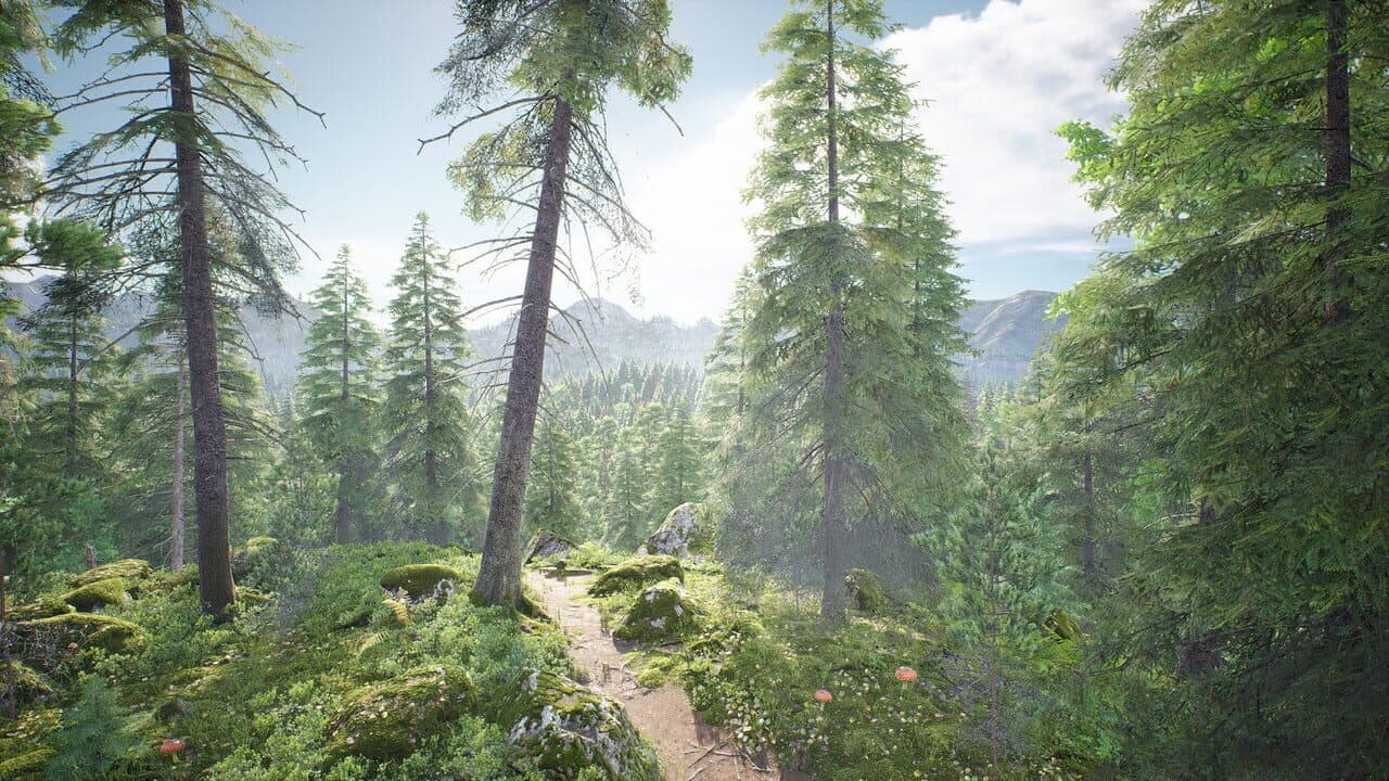 Out of the Woods thumbnail 5