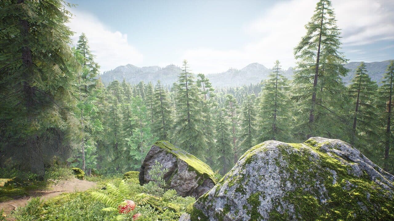 Out of the Woods thumbnail 6