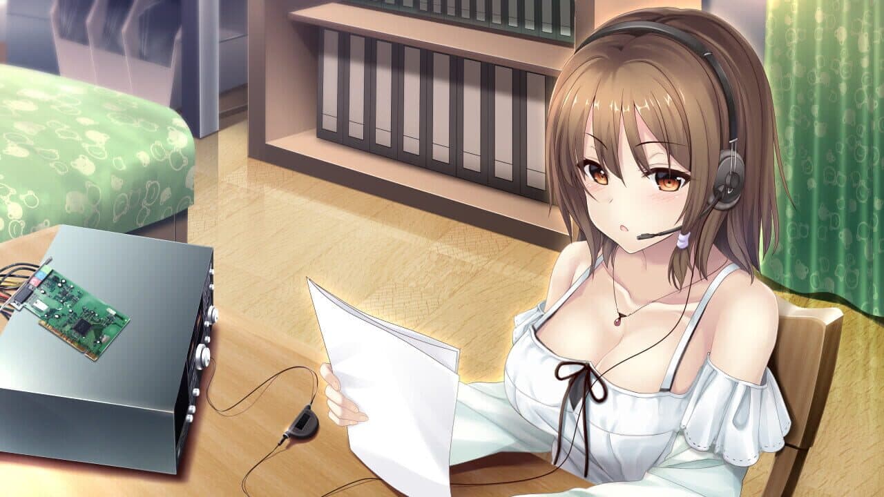 The Future Radio and the Artificial Pigeons thumbnail 9
