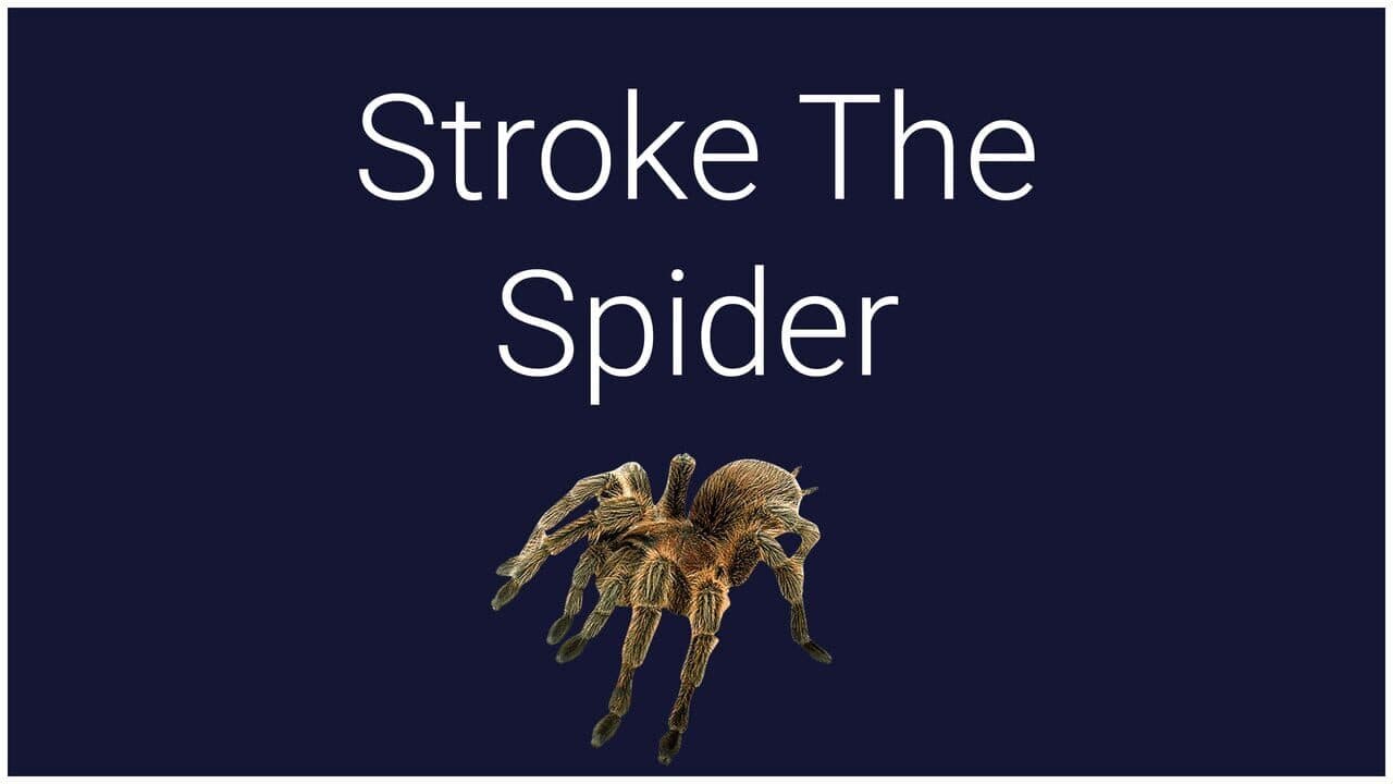 Stroke the Spider screenshot 1