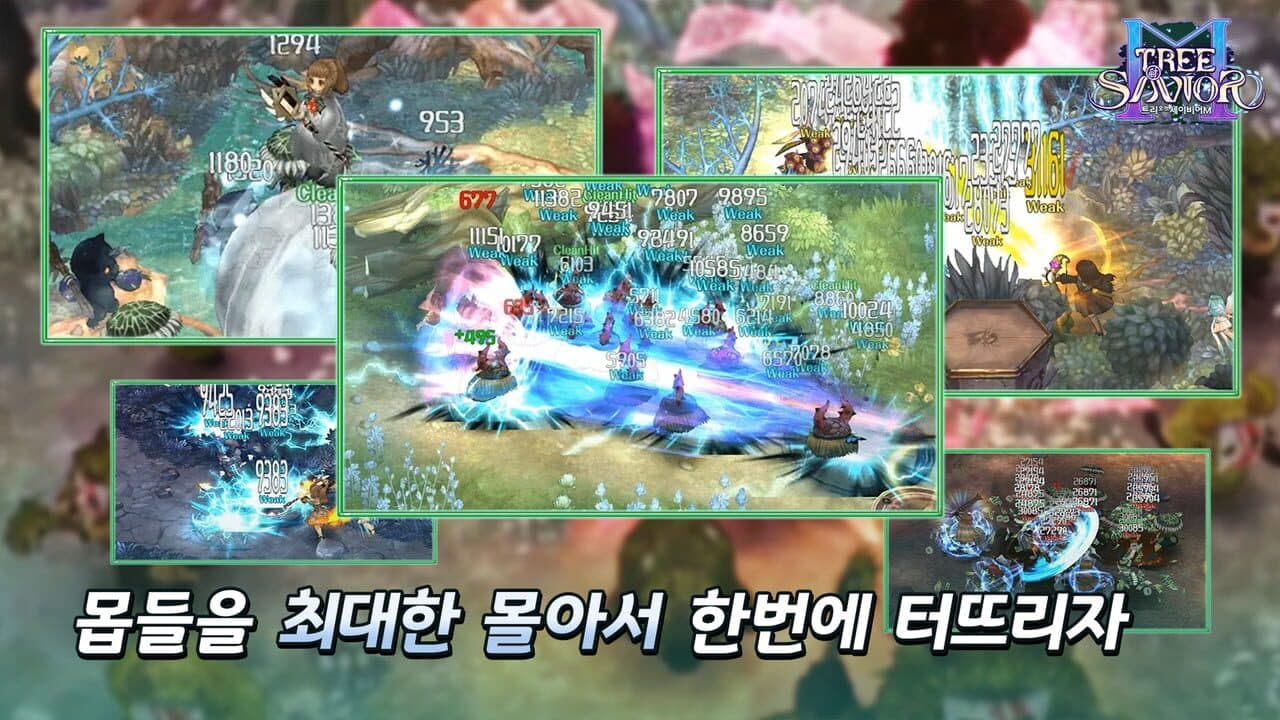 Tree of Savior M thumbnail 5