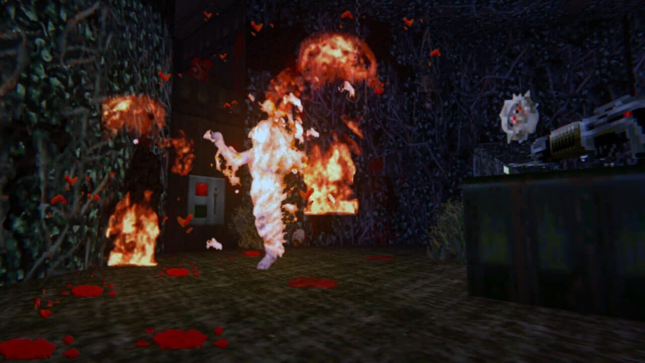 Bloom thumbnail 14