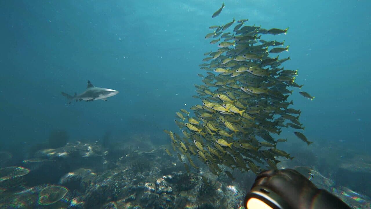 Death in the Water 2 thumbnail 3
