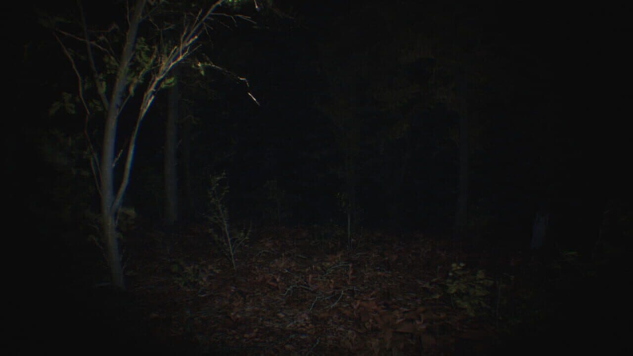 Paranormal Tales thumbnail 4