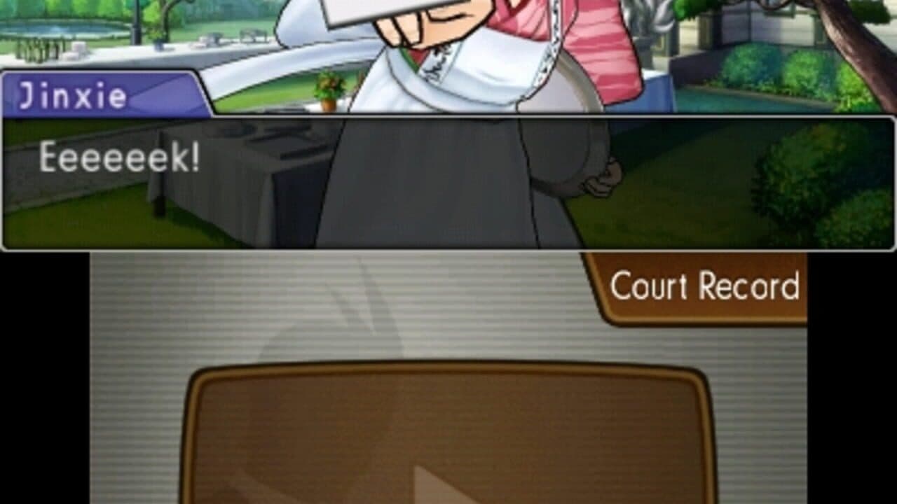 Phoenix Wright: Ace Attorney - Dual Destinies thumbnail 7