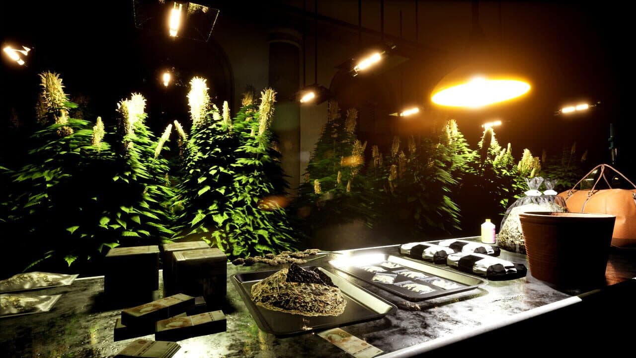 Drug Dealer Simulator 2 thumbnail 3