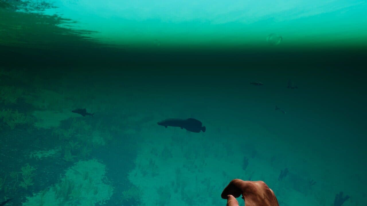 Rygrad thumbnail 5