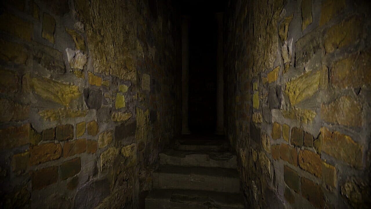 Liars Race in Lost Ruins thumbnail 7