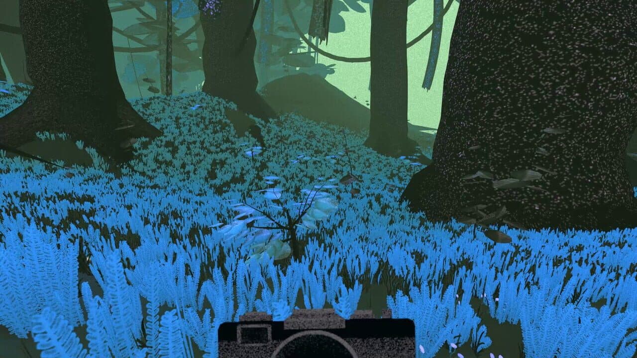Penko Park thumbnail 7