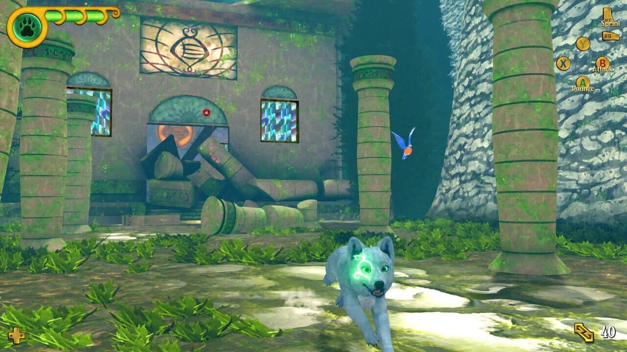 Seed of Life thumbnail 2