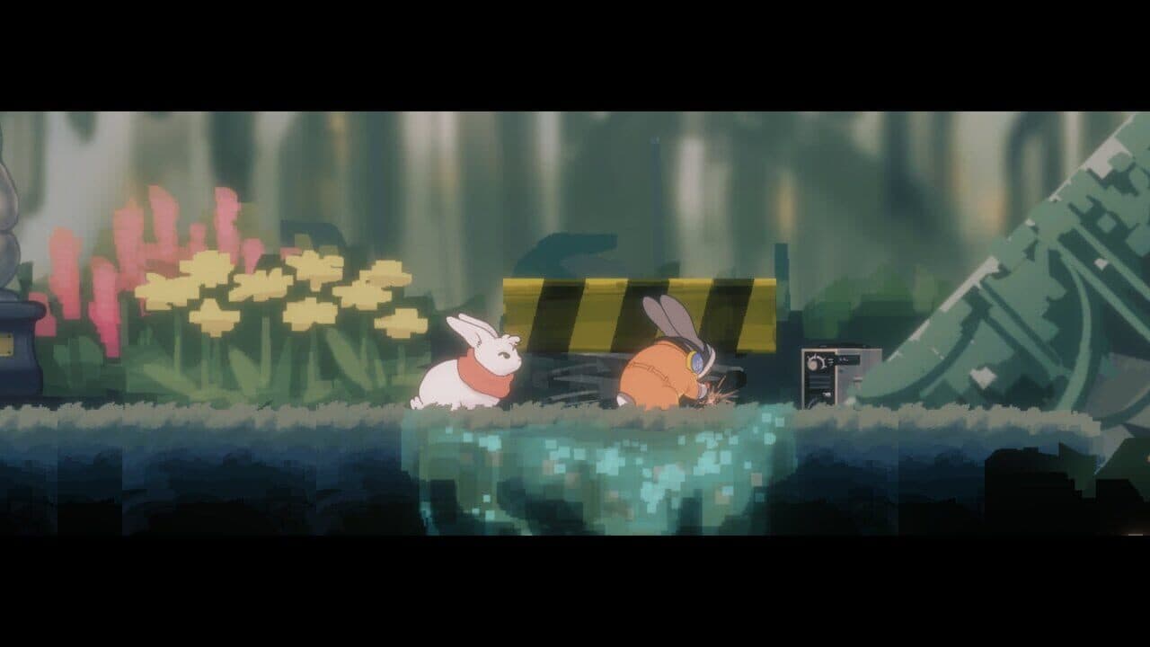Lapin thumbnail 15