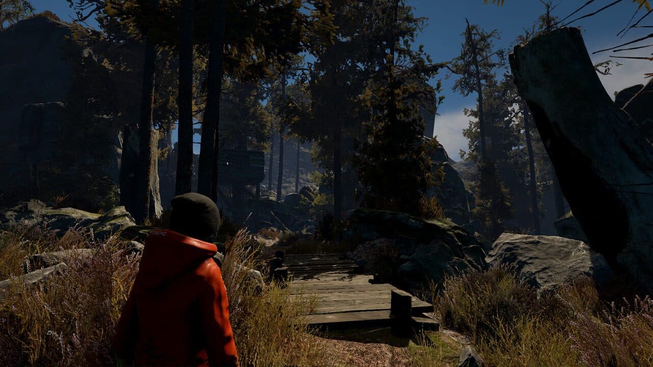 Through the Woods: Collector's Edition thumbnail 4
