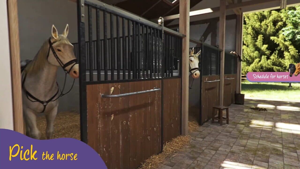 Animal Trainer Simulator thumbnail 5