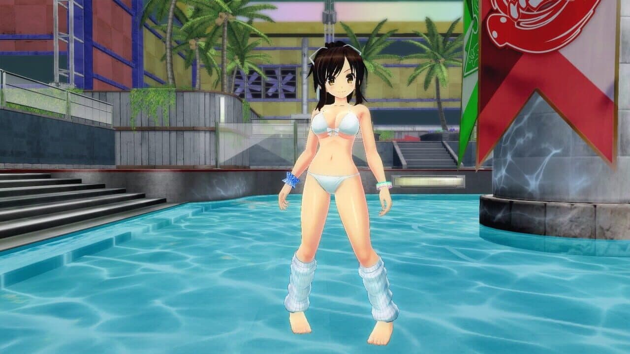 Senran Kagura: Peach Beach Splash - Mega Accessory Pack thumbnail 10