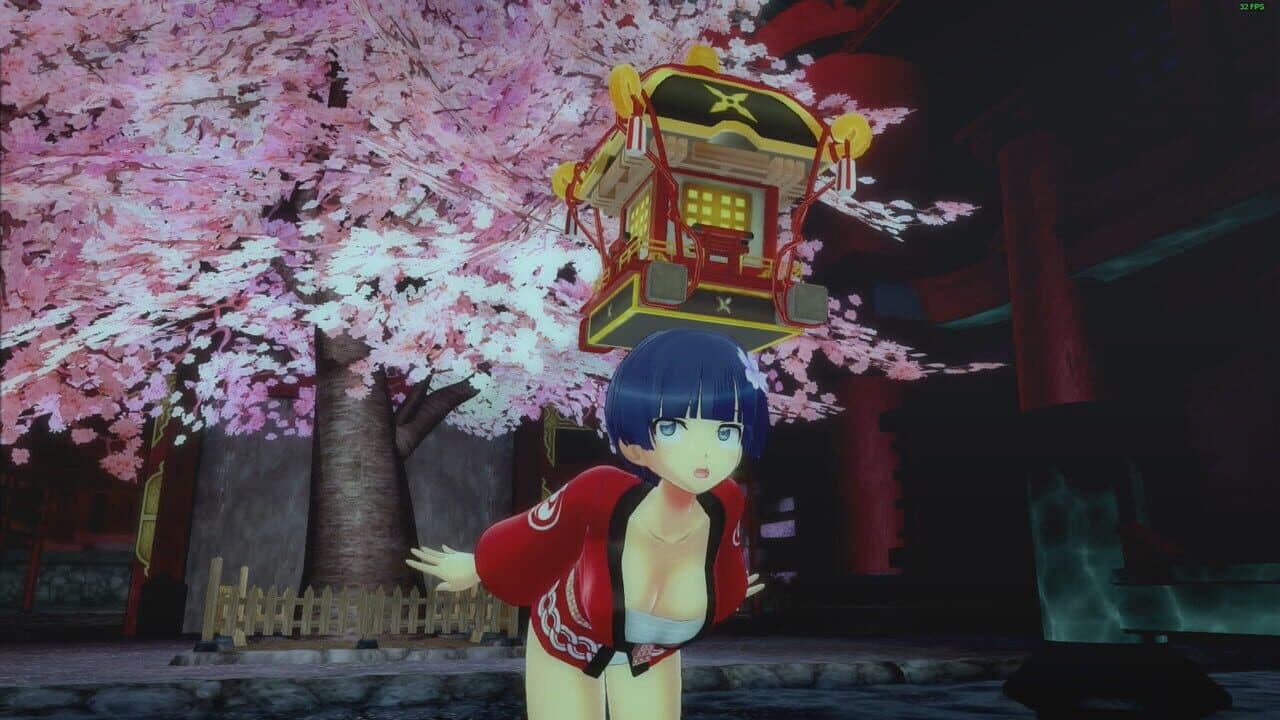 Senran Kagura: Peach Beach Splash - Mega Accessory Pack thumbnail 3