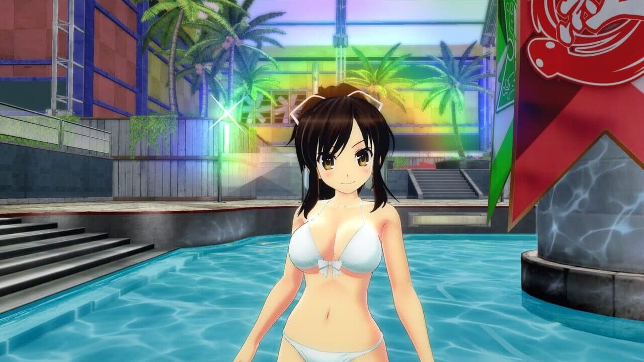 Senran Kagura: Peach Beach Splash - Mega Accessory Pack thumbnail 6