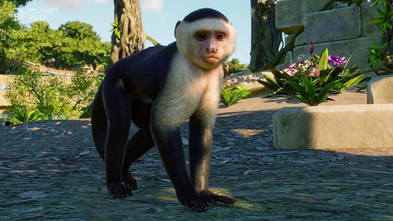 Planet Zoo: South America Pack thumbnail 9