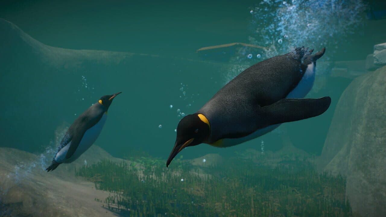 Planet Zoo: Aquatic Pack thumbnail 2