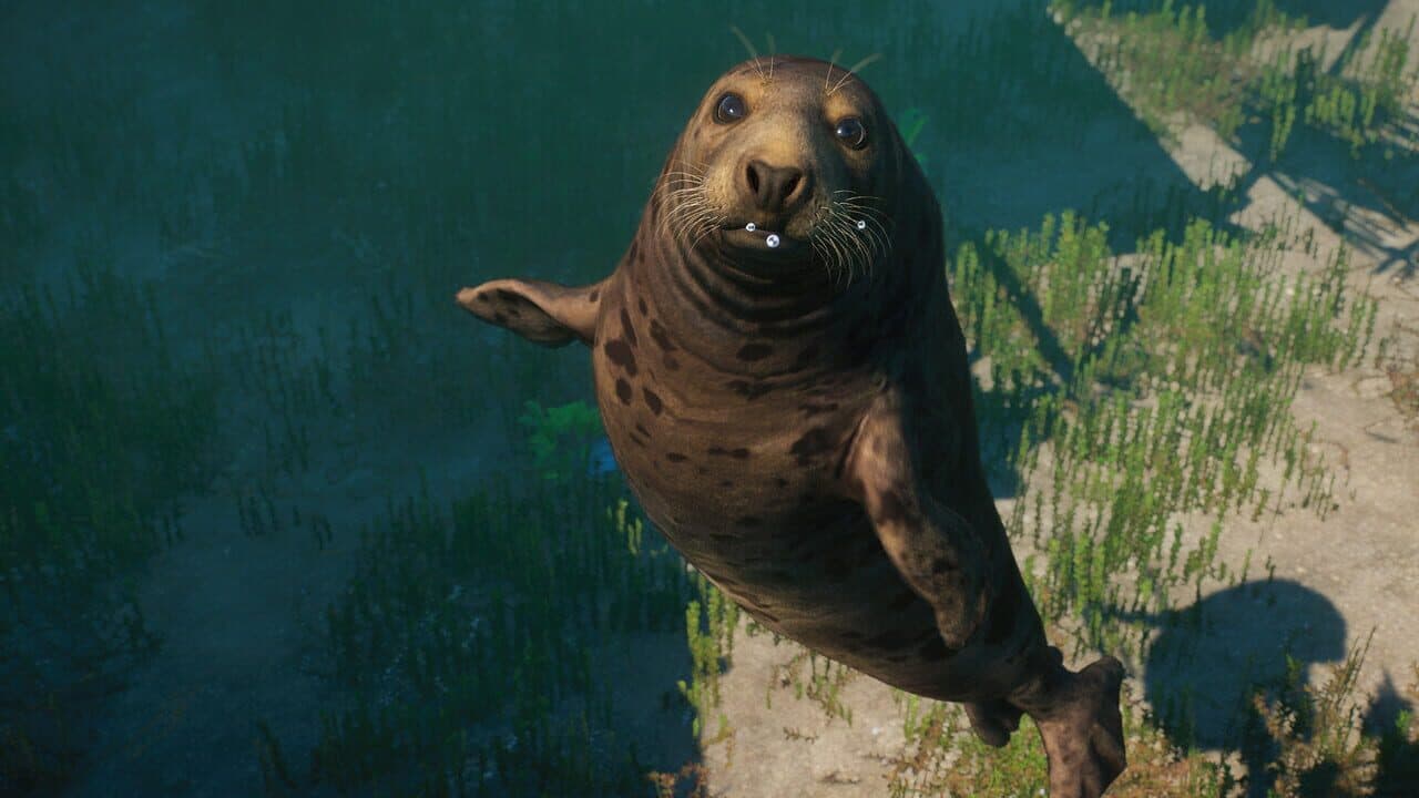 Planet Zoo: Aquatic Pack thumbnail 9