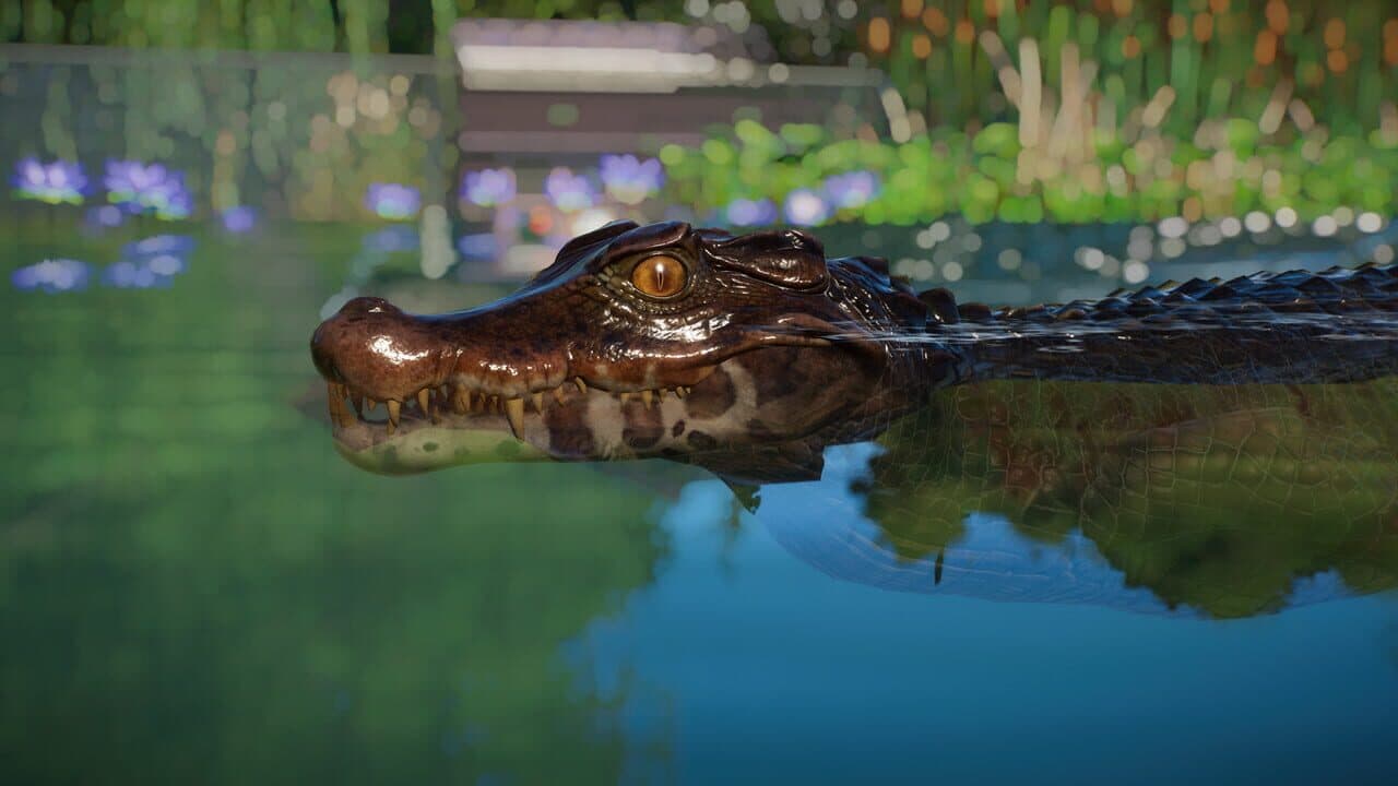 Planet Zoo: Aquatic Pack thumbnail 12