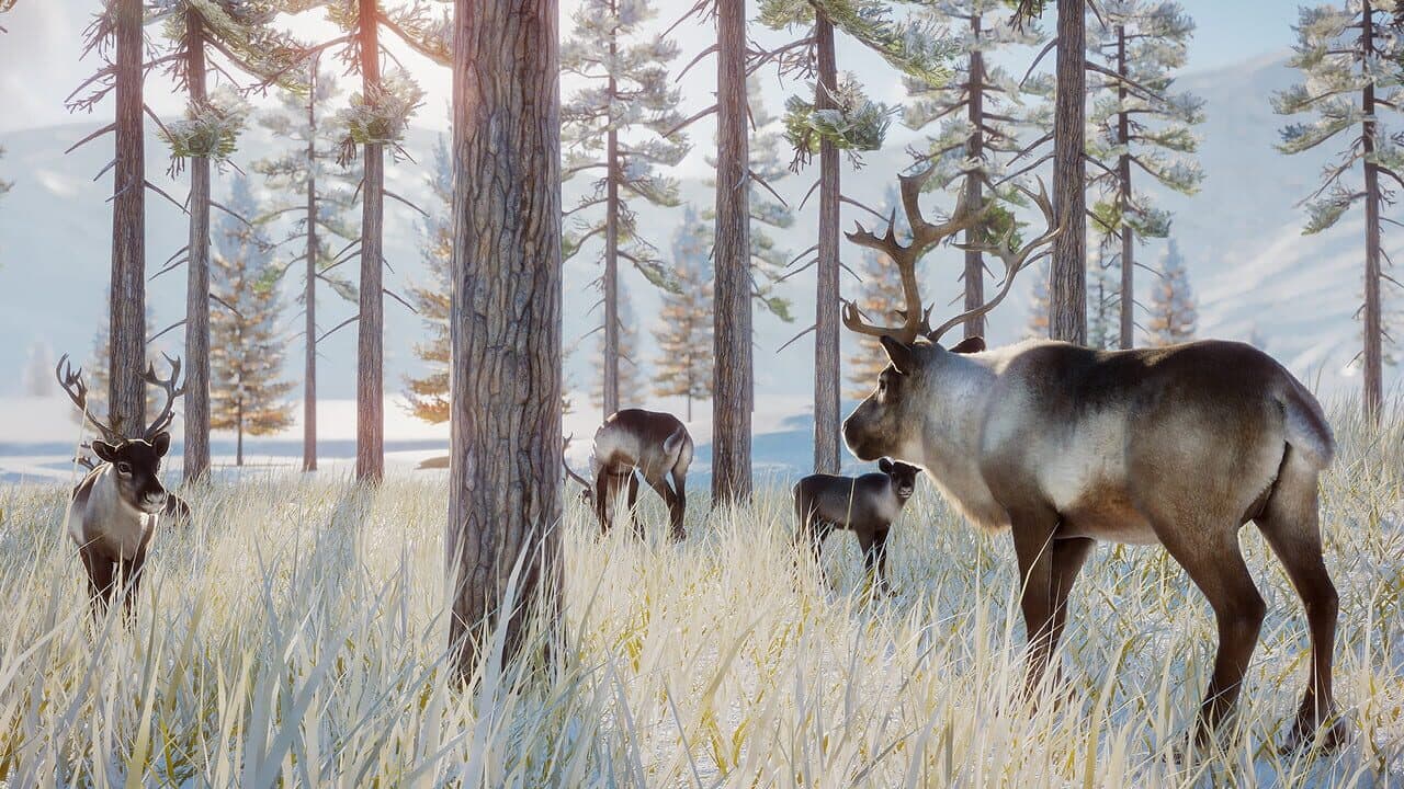 Planet Zoo: Arctic Pack thumbnail 3