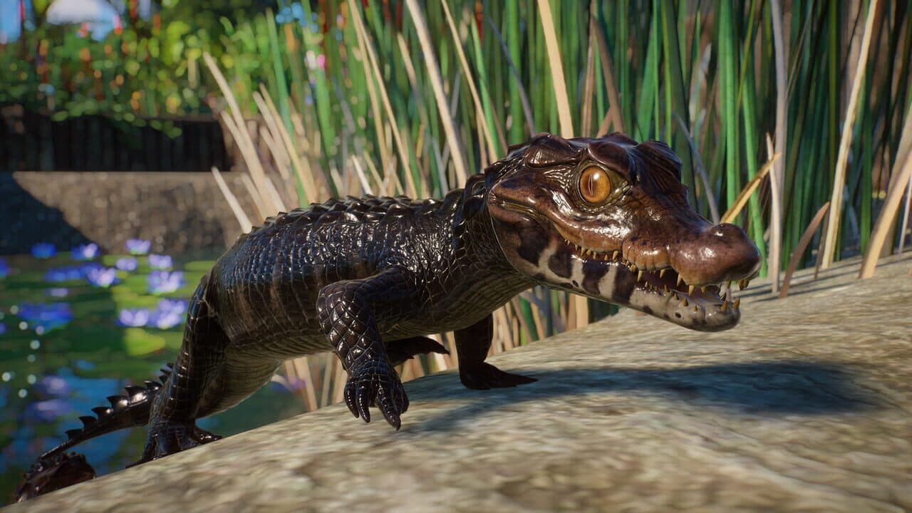 Planet Zoo: Aquatic Pack thumbnail 11